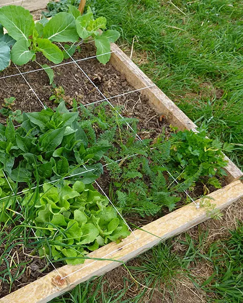 A L'ECOUTE DES JARDINS